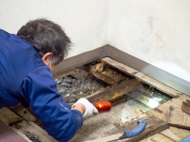 Certified Mold Removal in Pixley, CA