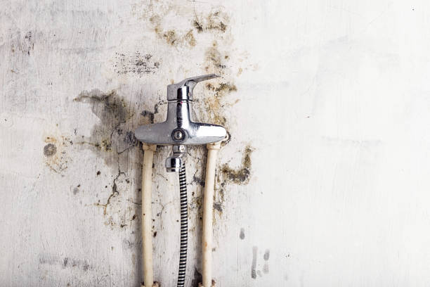 Best Affordable Mold Removal  in Pixley, CA