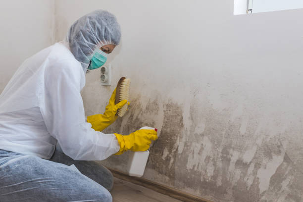 Home Mold Removal in Pixley, CA