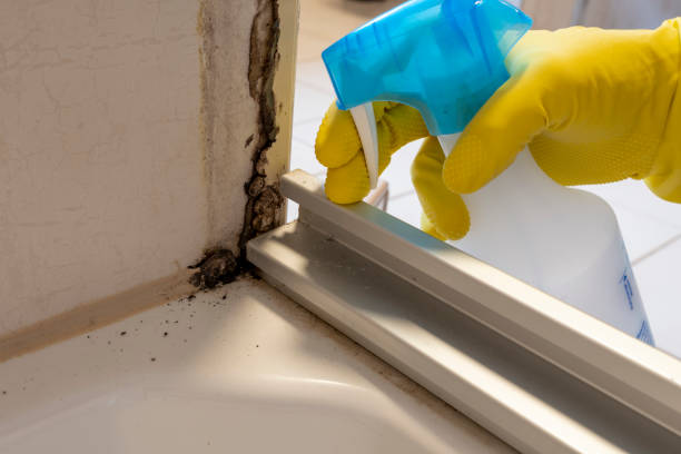 Best Attic Mold Removal  in Pixley, CA