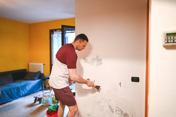 Best Mold Removal Company Near Me  in Pixley, CA